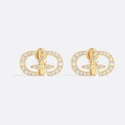 Dior Luxury Butterfly Earrings